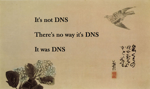 Meme: It is always DNS